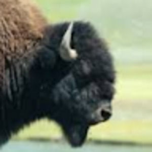 Meet your Posher, Jacquelyn